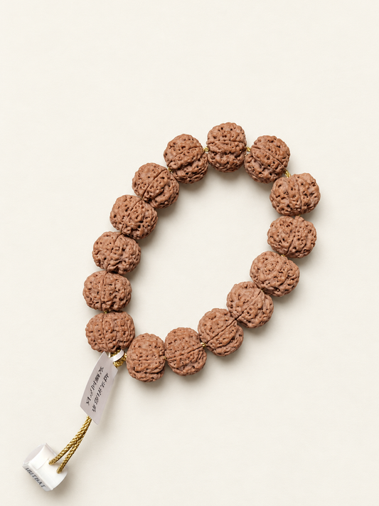 Rudraksha Bracelet, 20.5 mm Honeycomb Beads — another angle