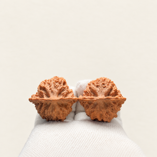 Hand Walnut Pair, Lantern Lion's Head — another angle