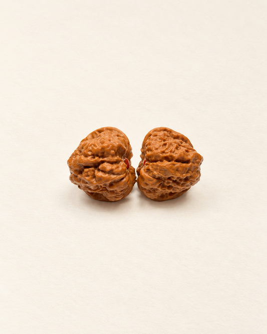 Walnut Pair, Rounded Natural Ridges