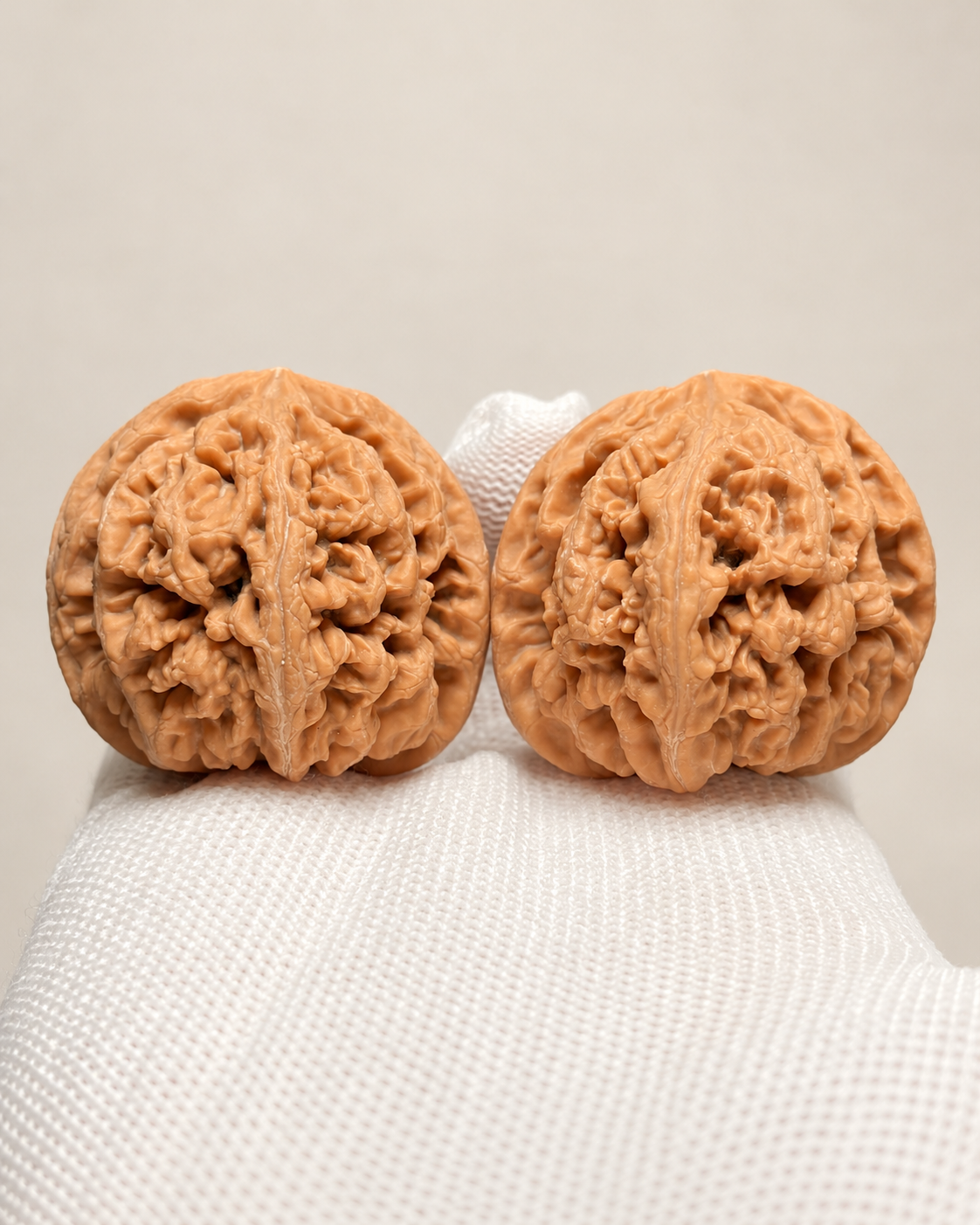 Walnut Pair, Broad Raised Ridges