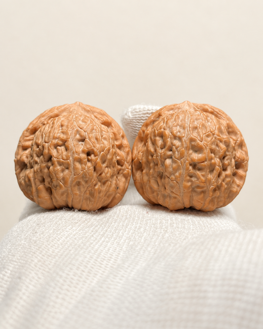 Walnut Pair, Broad Flat Base