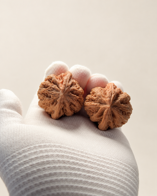 Walnut Pair, Bold Natural Ridges