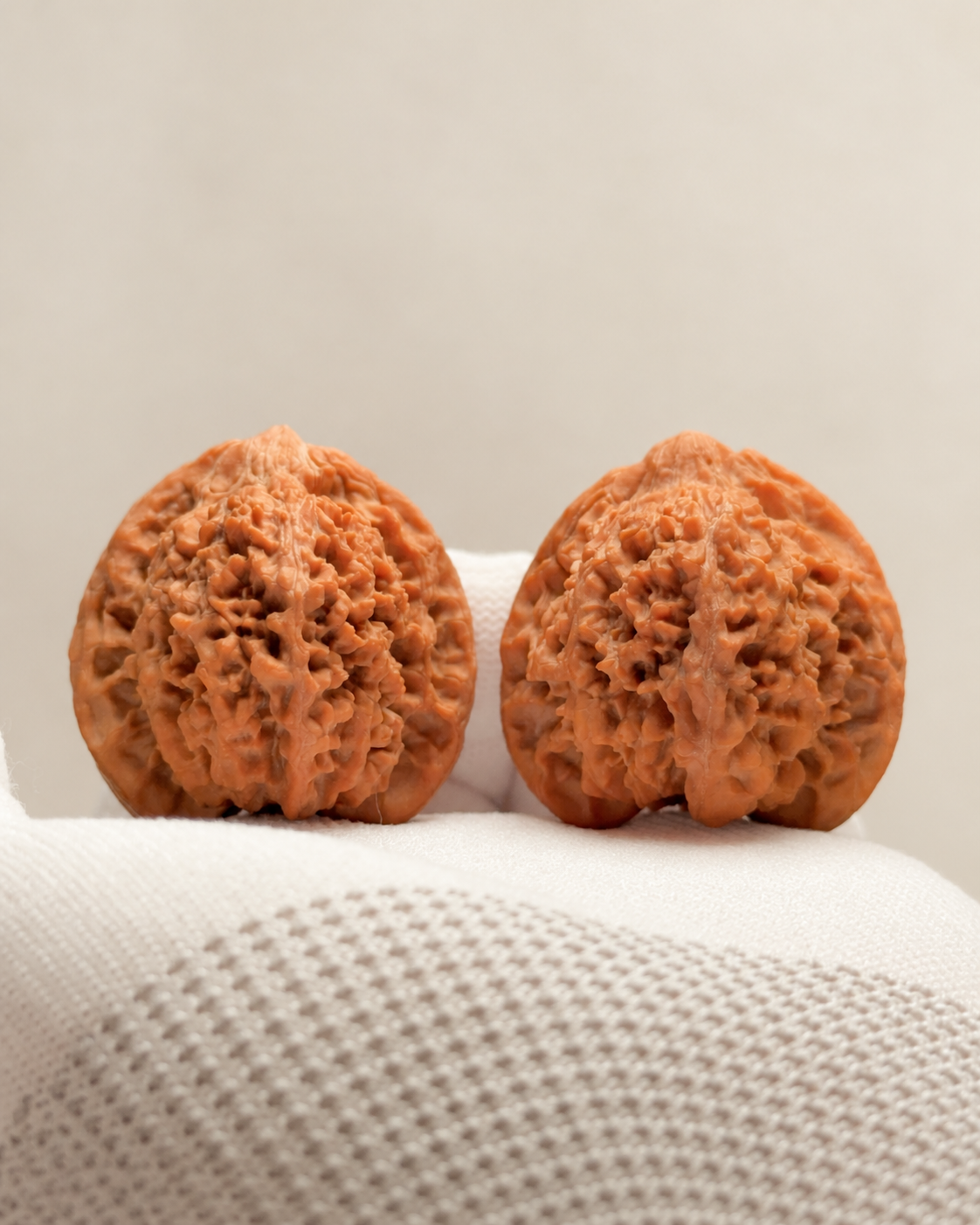 Walnut Pair, Tall Triangular Form