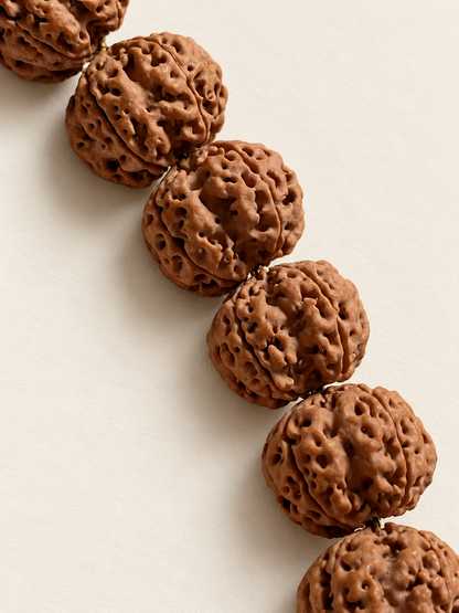 Rudraksha Bracelet, Large Five-Face Beads — detail view