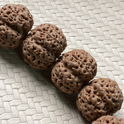 Rudraksha Bracelet, Dense Five-Face Beads — detail view