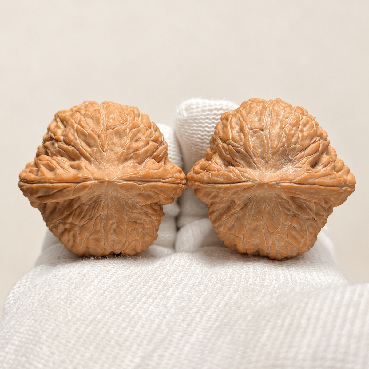 Hand Walnut Pair, Flat-Base Golden Cicada — another angle