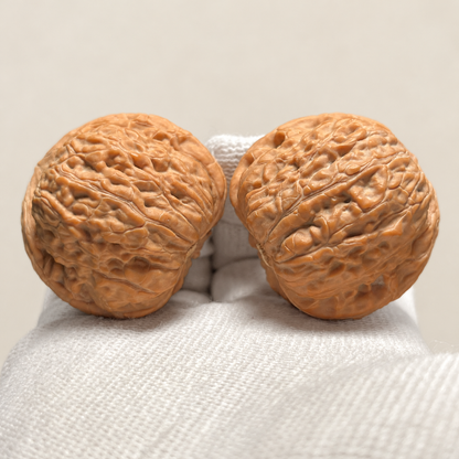 Hand Walnut Pair, Flat-Base Golden Cicada — detail view