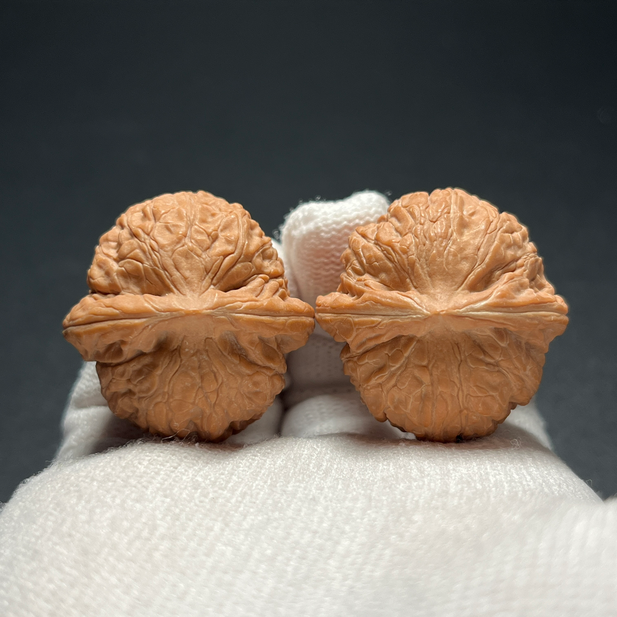 Walnut Pair, Small Rounded Form — view 3