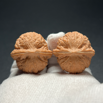 Walnut Pair, Small Rounded Form — view 3