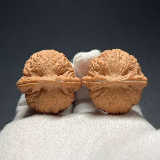 Walnut Pair, Small Rounded Form — view 3
